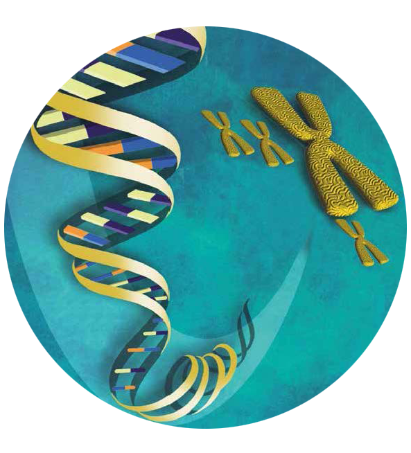 Spirale in der Natur